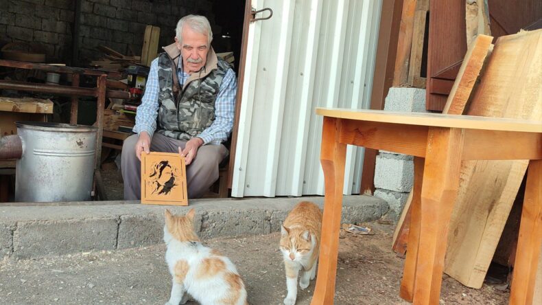 Depremden sonra sokakta kalan kedilere sahip çıktı