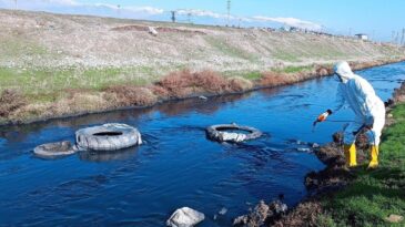 Büyükşehir Belediyesi, Halk Sağlığını Korumak İçin Zararlılarla Mücadelesini Sürdürüyor