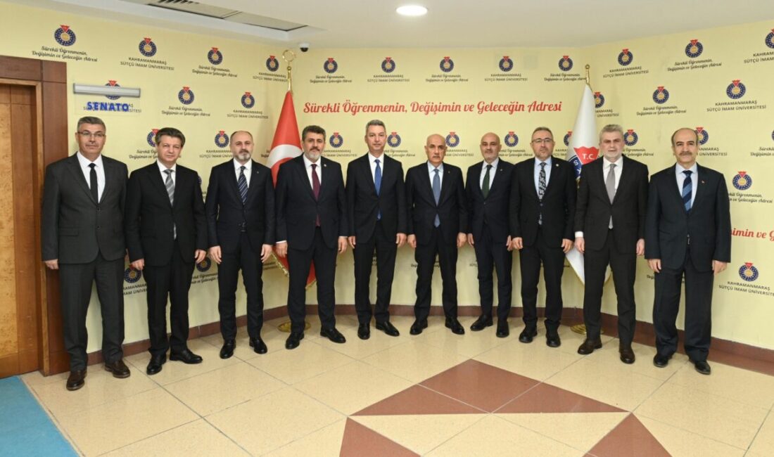 Kahramanmaraş Büyükşehir Belediye Başkanı Fırat Görgel, 66. Hükümet Tarım ve