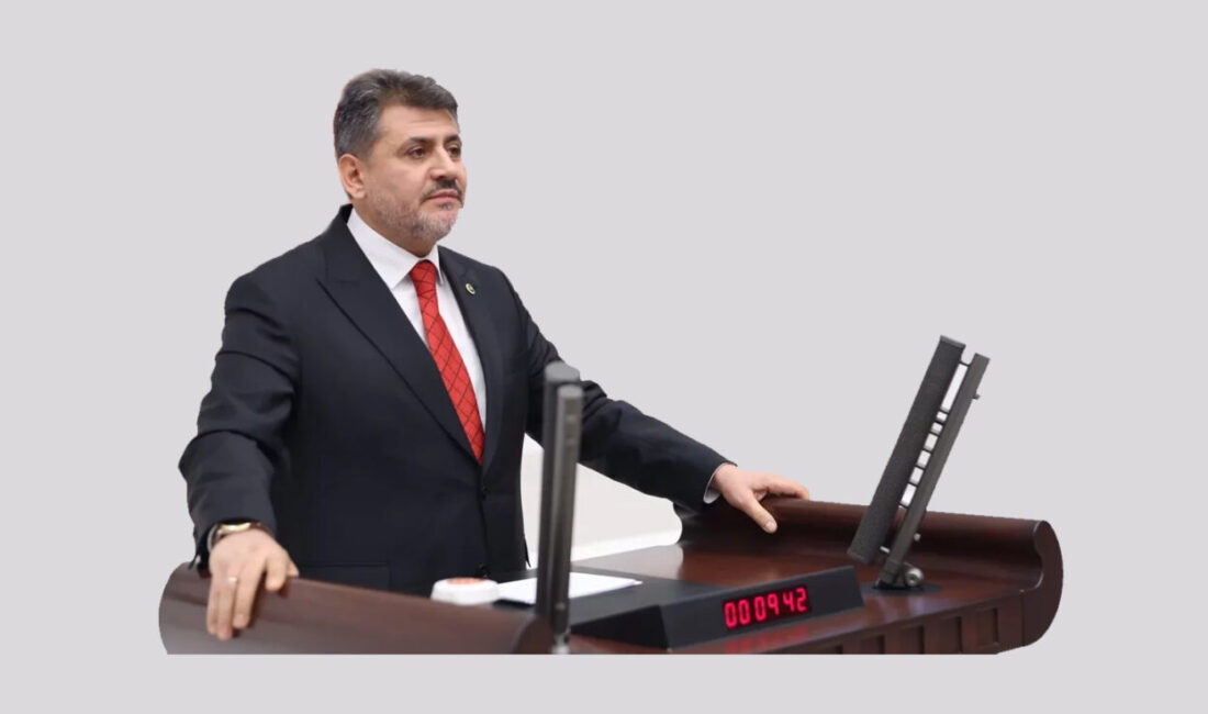 AK Parti Kahramanmaraş Milletvekili Ömer Oruç Bilal Debgici, TBMM Genel